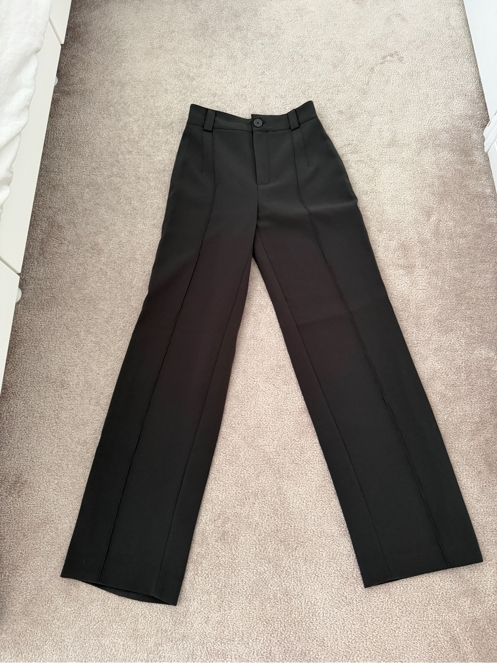 ZARA Dress Pants